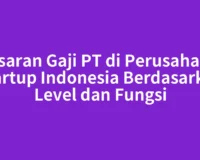 Kisaran Gaji PT di Perusahaan Startup Indonesia Berdasarkan Level dan Fungsi