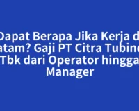 Dapat Berapa Jika Kerja di Batam? Gaji PT Citra Tubindo Tbk dari Operator hingga Manager