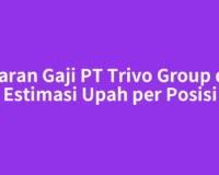 Kisaran Gaji PT Trivo Group dan Estimasi Upah per Posisi