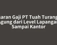 Kisaran Gaji PT Tuah Turangga Agung dari Level Lapangan Sampai Kantor