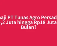 Gaji PT Tunas Agro Persada Rp4,2 Juta hingga Rp18 Juta per Bulan?
