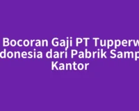 Cek Bocoran Gaji PT Tupperware Indonesia dari Pabrik Sampai Kantor